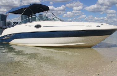 Rent 7 Identical 26' Sea Ray Sundecks in Miami, Florida!