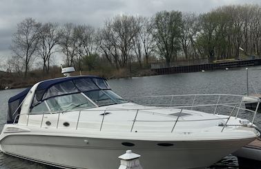 50ft Searay 400 Motor Yacht - Lake Michigan Chicago - Up to 13 Guests