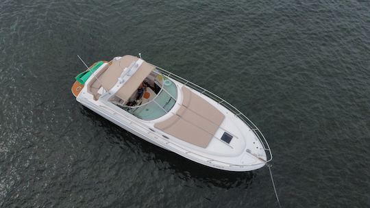 😍Beautiful Sea Ray 42' Motor Yacht in Miami - 2025 Upgraded 😍