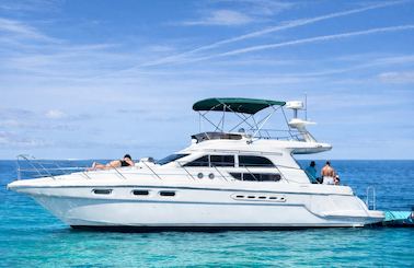 Rent this Beautiful 50' Sealine 100$ OFF or FREE Jetski from Monday-Friday!