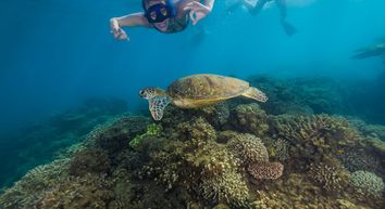 Getmyboat’s Complete Guide to Snorkeling